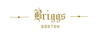 Briggs 1700